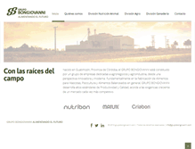 Tablet Screenshot of grupobongiovanni.com